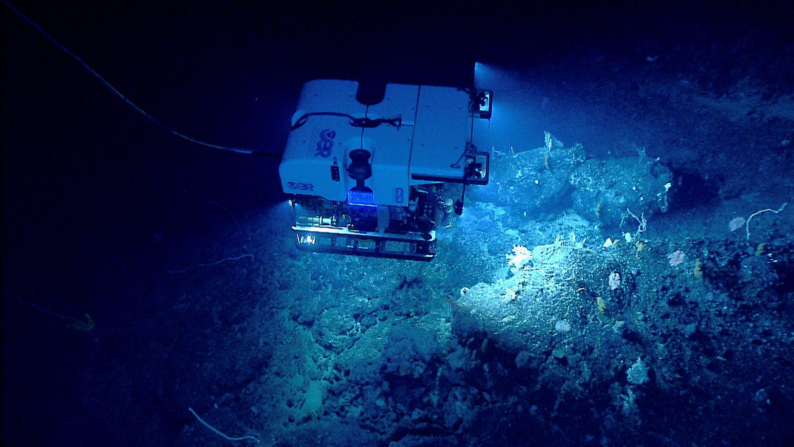 Deep-sea ROV survey